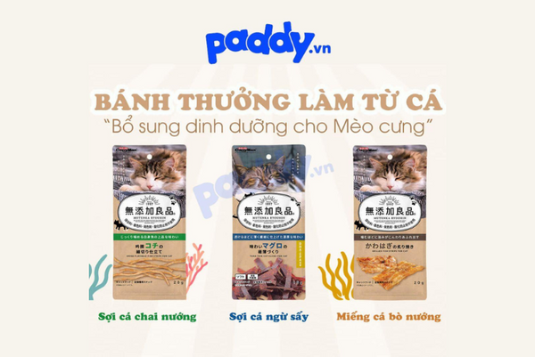 Tìm hiểu về thương hiệu CattyMan