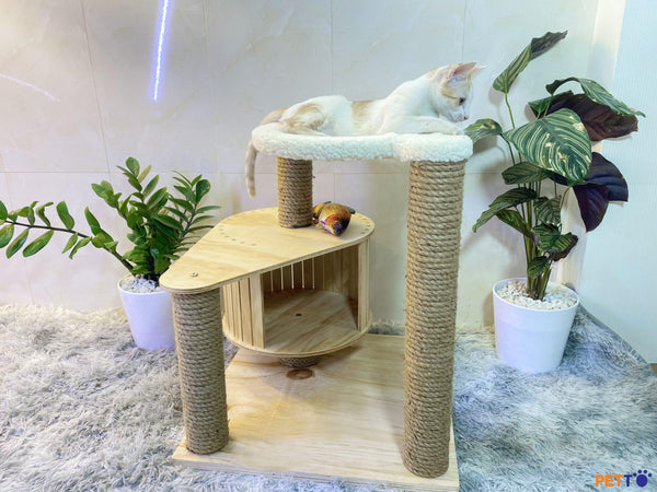 cây đồ chơi cho mèo