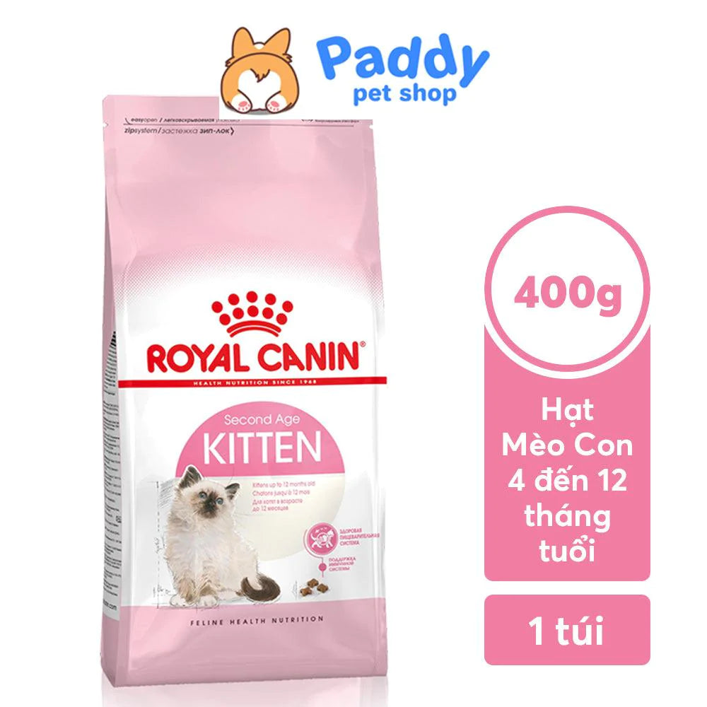 hạt cho mèo con