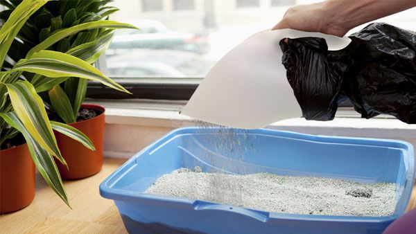 cách dùng cát đất sét