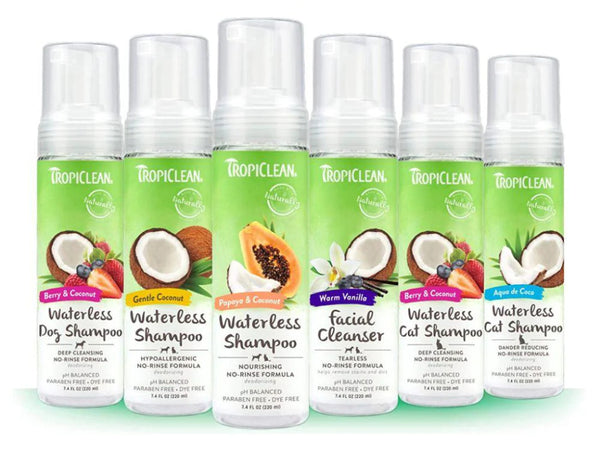 Dầu Tắm Khô Hữu Cơ Chó Mèo Tropiclean Organic Waterless Shampoo