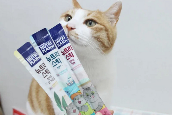 Có nên cho mèo ăn nhiều súp thưởng hay không
