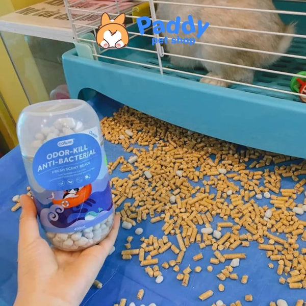 vien-khu-mui-hoi-cat-meo