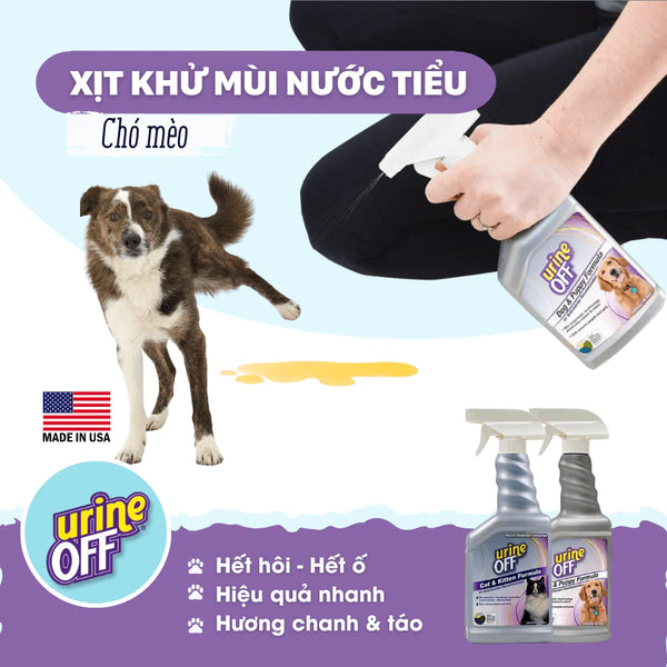 xit-khu-mui-nuoc-tieu-chat-thai-cho-meo