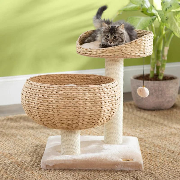 cattree cho mèo giá rẻ