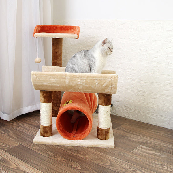 Lợi ích của nhà cây cho mèo đối với mèo