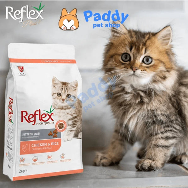 Hạt Reflex Kitten & Hạt Reflex Adult Vị Gà & Gạo