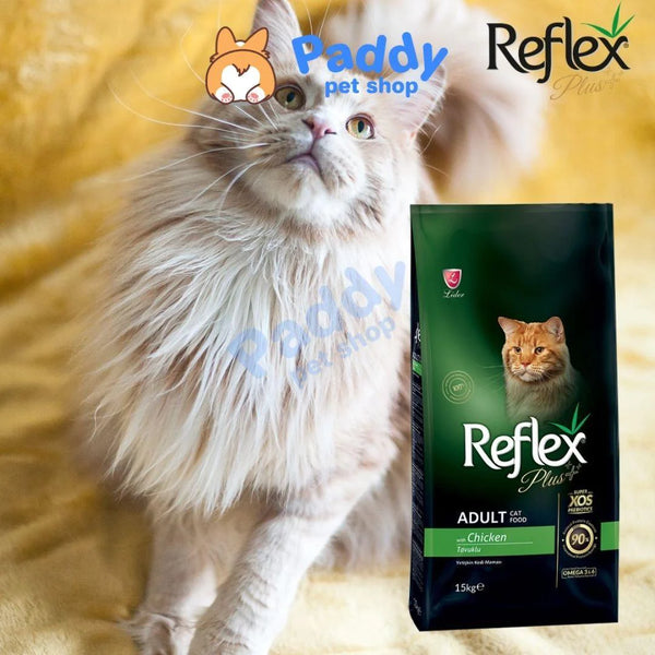 Hạt Reflex Kitten & Hạt Reflex Adult Plus Vị Gà