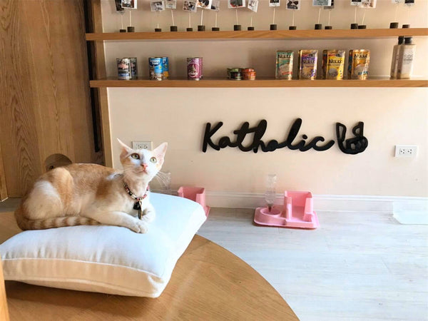 katholic-cafe