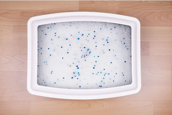 Các loại cát mèo giá rẻ