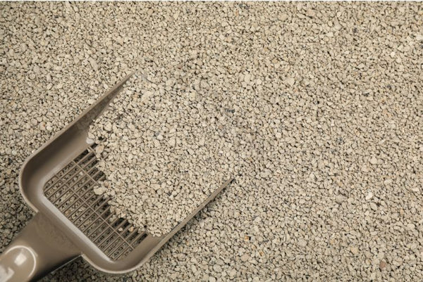Các loại cát mèo giá rẻ