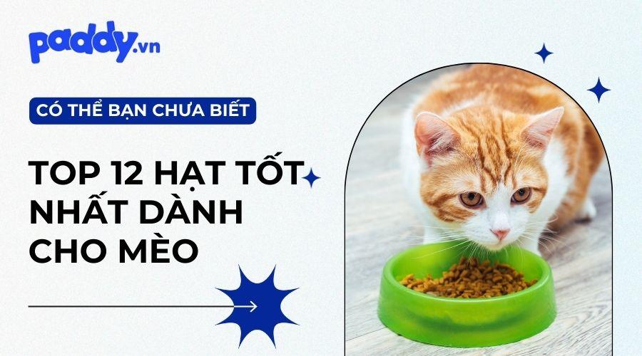 Top 12 Loại Thức Ăn Hạt Cho Mèo Tốt Nhất 2023