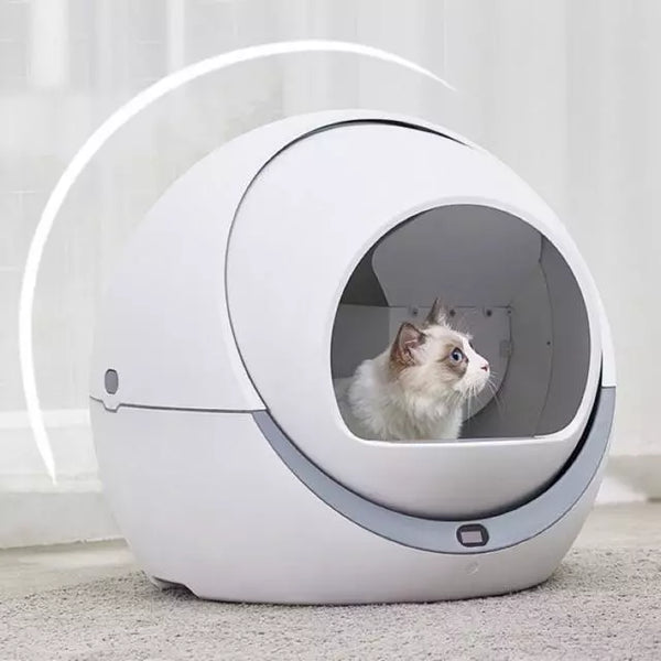 Máy dọn vệ sinh tự động Petree