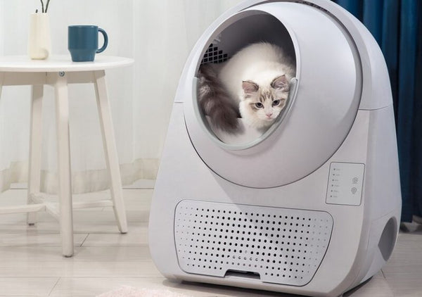 nhà vệ sinh tự dọn cho mèo