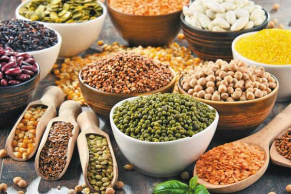 chó mới đẻ không nên ăn g