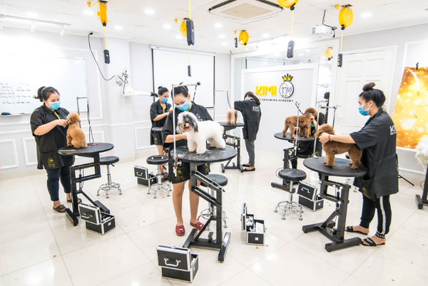 dịch vụ trông giữ chó mèo tphcm