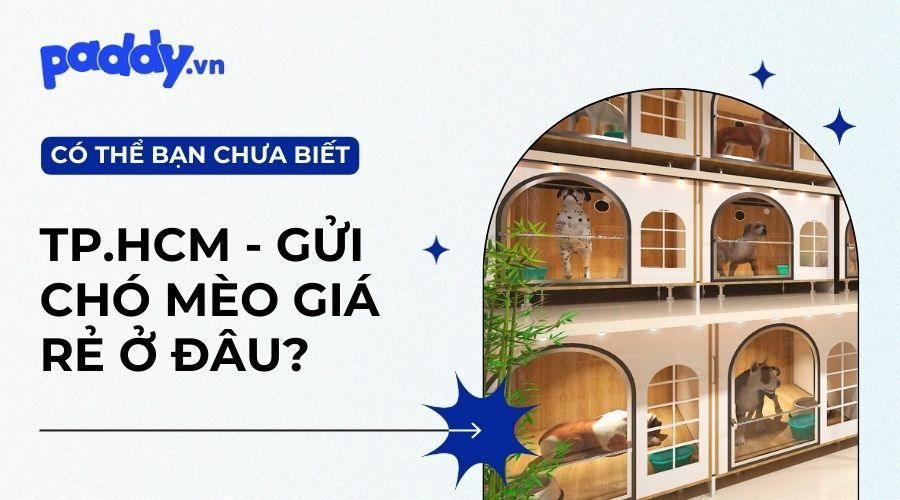 Dịch Vụ Gửi Chó Mèo Giá Rẻ Tại TPHCM