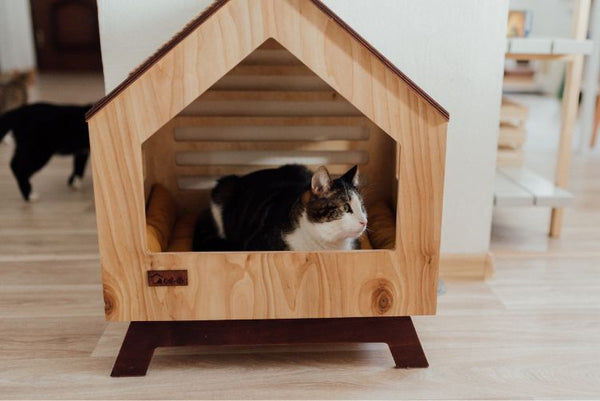 Các loại nhà cho mèo nhiều tầng