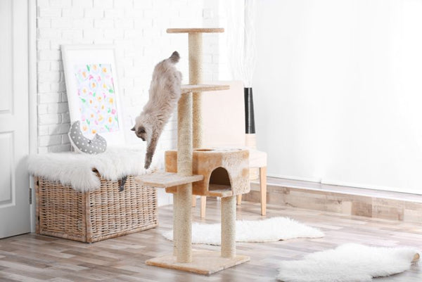 Các loại nhà cho mèo nhiều tầng