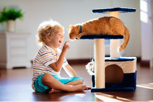 Các loại nhà cho mèo nhiều tầng