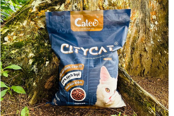 Cát Đất Sét Mèo Citycat 4kg