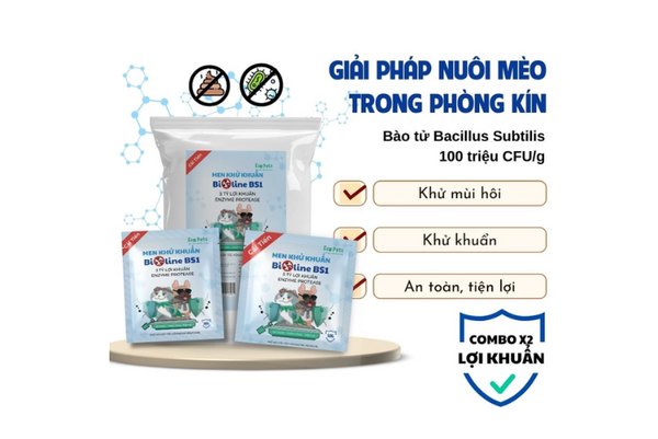 men khử khuẩn cát mèo