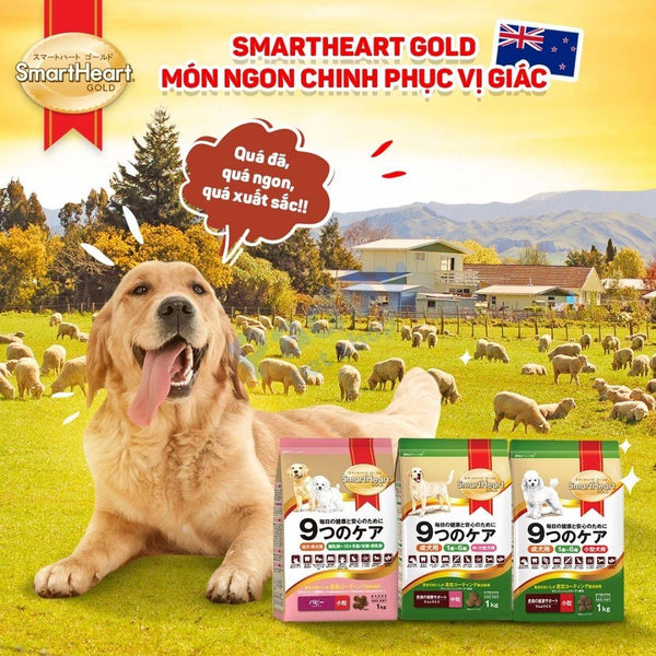 Hạt Smartheart chó lớn giống nhỏ