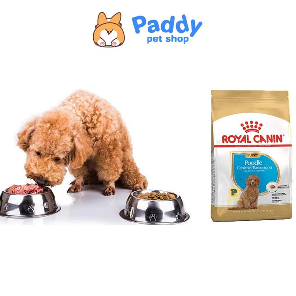 Royal Canin Poodle Puppy Cho Chó Con Poodle