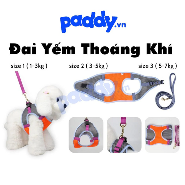 day-dat-yem-thoang-khi-cho-meo