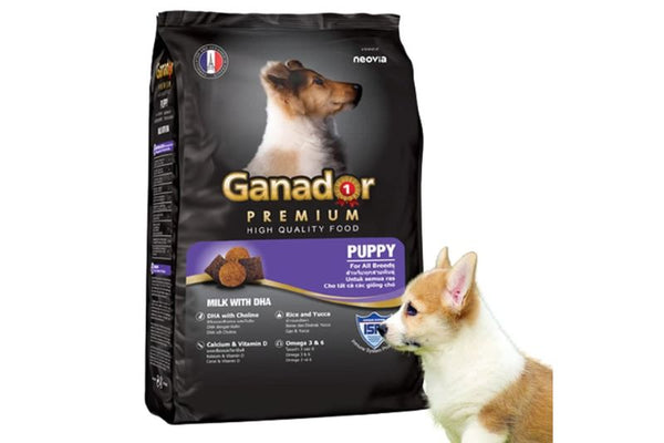 Hạt Ganador cho chó Puppy