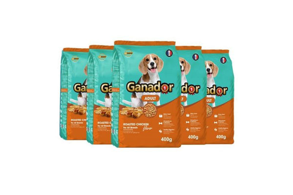 Hạt Ganador cho chó Adult