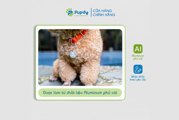 Tìm hiểu về thương hiệu Pupdy