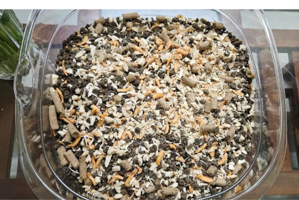 nên chọn hạt có hay không có topping