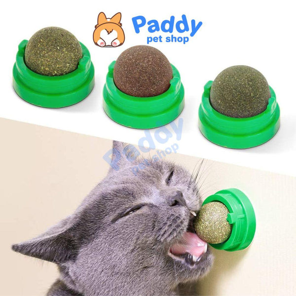 vien-co-meo-xoay-gan-tuong-rotating-catnip
