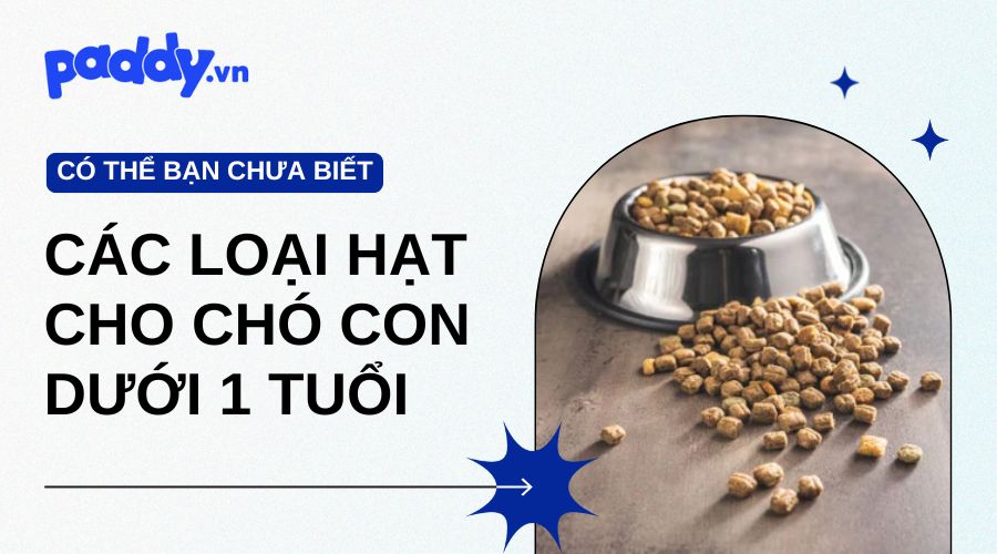Review Các Loại Hạt Cho Chó Con Dưới 1 Tuổi