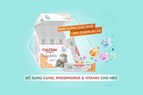 Tìm hiểu về thương hiệu Bossen