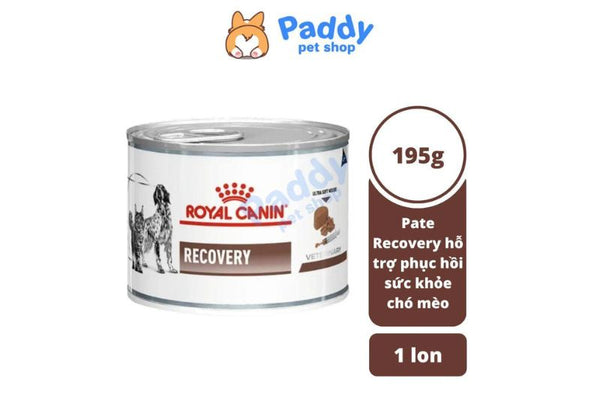Pate Cho Chó Mèo Phục Hồi Sức Khỏe Royal Canin Recovery Lon 195g