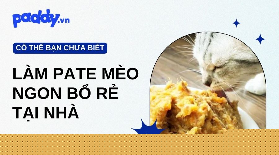 Cách Làm Pate Cho Mèo Ngon Bổ Rẻ Tại Nhà