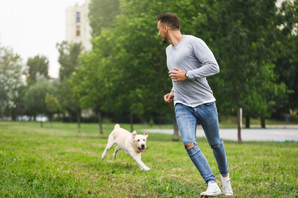 lợi ích bất ngờ khi chạy bộ cùng chó