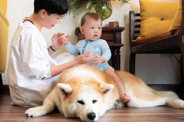 Giống chó phù hợp với gia đình có trẻ nhỏ