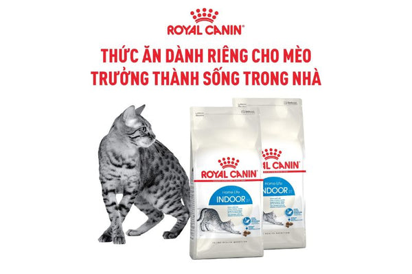Hiểu Biết Về Royal Canin Fit Và Indoor