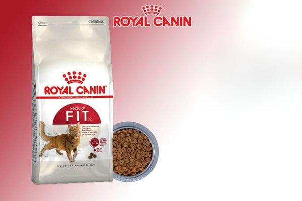 hiểu biết về royal canin fit và indoor