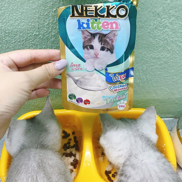 Pate Cho Mèo Con Dạng Kem Nekko Kitten Mousse