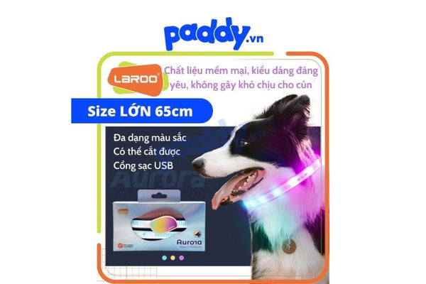 vòng cổ đèn led cực xinh cho chó mèo