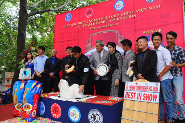 giấy VKA giả và thật