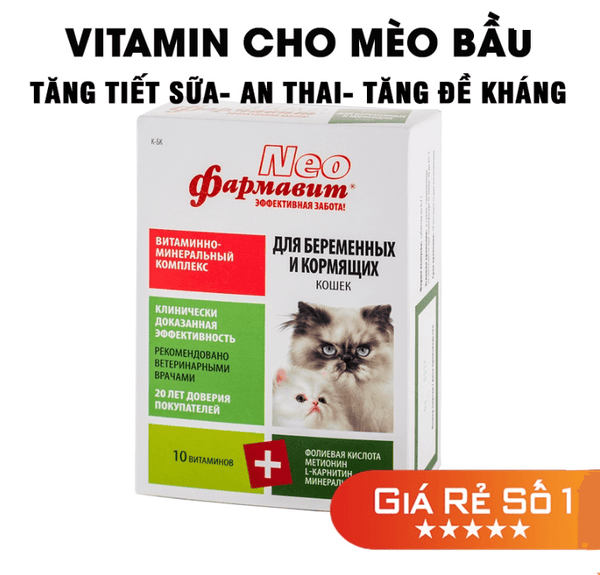 vitamin-cho-meo-bau-meo-cho-con-bu-nhap-nga