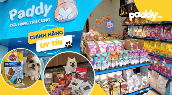 shop-thu-cung-binh-thanh