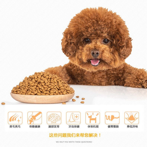 cho-an-hat-co-tot-khong