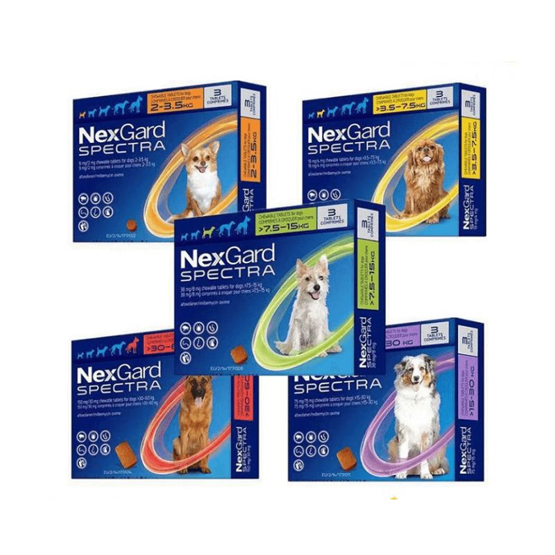 thuốc nexgard spectra
