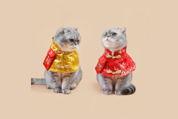 Các mẫu quần áo chó mèo chơi tết